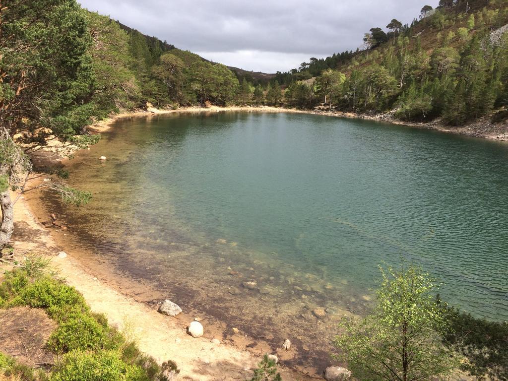 Riverbank Lodge Aviemore Ngoại thất bức ảnh